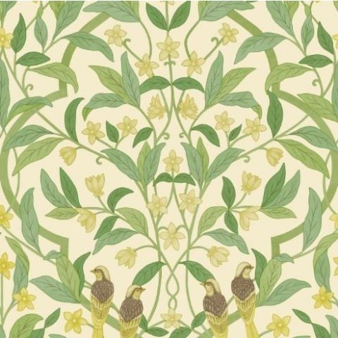 Cole & Son Seville - Jasmine & Serin Symphony 117/10031