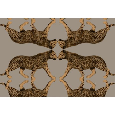 Hookedonwalls Leopard Walk Sabor 15330