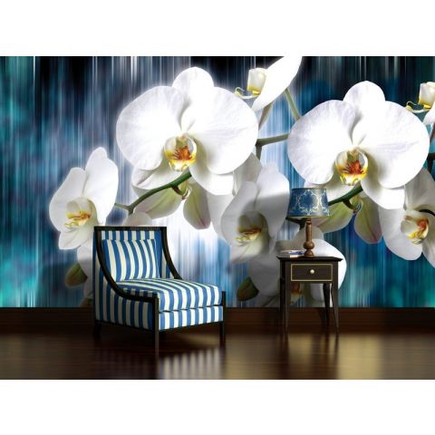 BWS White orchids on blue background