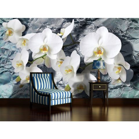 BWS White orchids on stone background