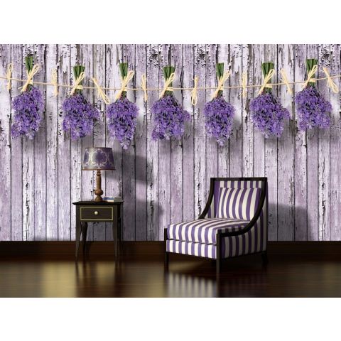 BWS Lavender on colorful planks