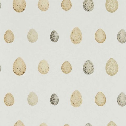 Sanderson Embleton Bay Nest Egg Corn / Graphite 216505