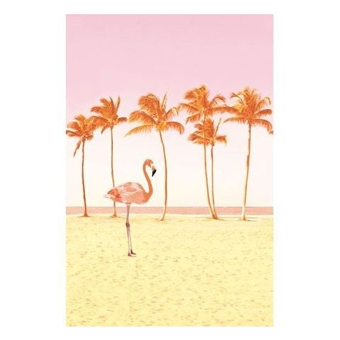 Eijffinger Wallpower Junior - Flamingo Beach
