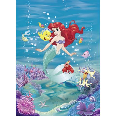 Komar Disney Edition IV Ariel Singing 4-4020
