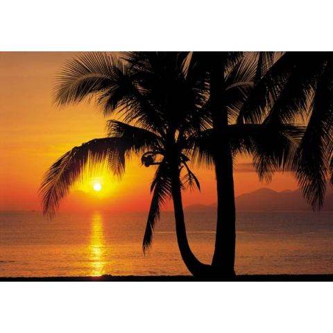 Komar Palmy Beach Sunrise 8-255