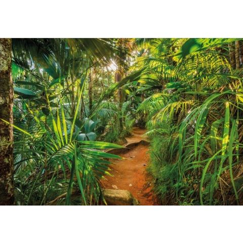 Komar Jungle Trail