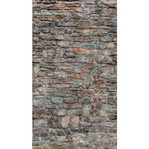 Dutch Wallcoverings One Roll One Motif - Castle Wall A51702