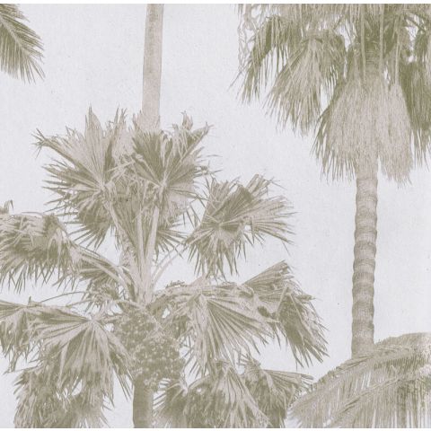 Dutch Wallcoverings First Class Malibu - California Palm ML01415