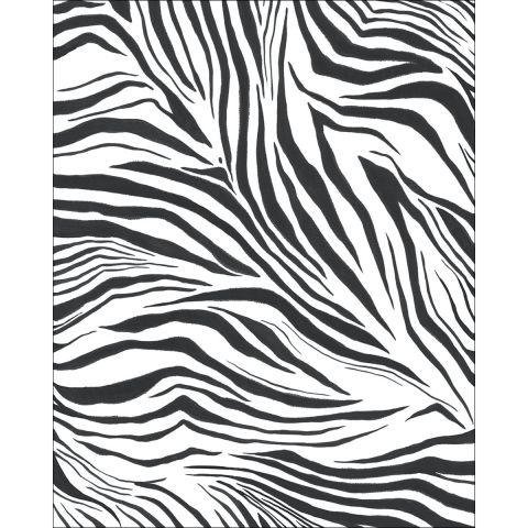 Caselio Stay Wild - ZEBRA BLANC NOIR WILD104960904 - 200x310