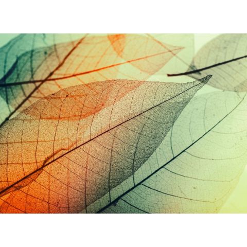 AS Creation Designwalls - Limpid Leaf