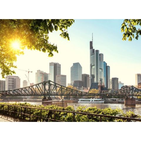 AS Creation Designwalls - Frankfurt City