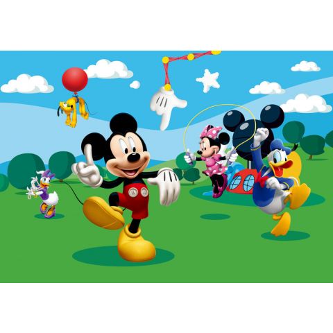 Mickey & Minnie & Donald For Kids FTD 0253