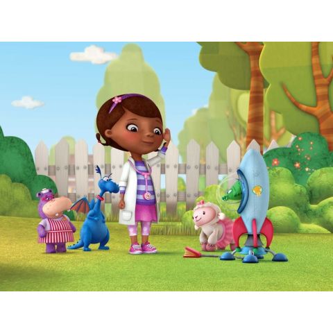 AG Design XXL Dr. Mcstuffins 3-D