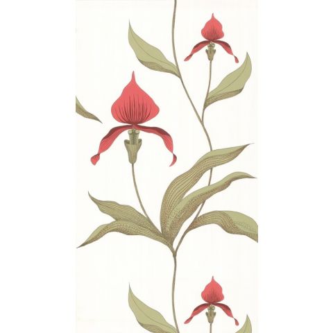 Cole & Son Contemporary  Restyled - Orchid 95/10054