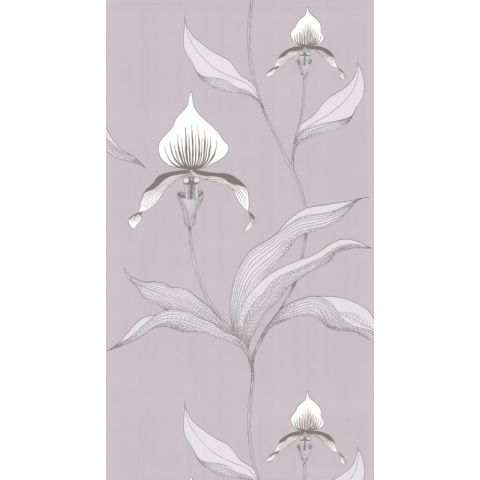 Cole & Son Contemporary  Restyled - Orchid 95/10055