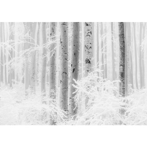 Komar RAW - Winter Wood R4-043