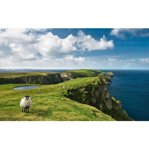 Komar Wanderlust - Green Ireland SHX9-040
