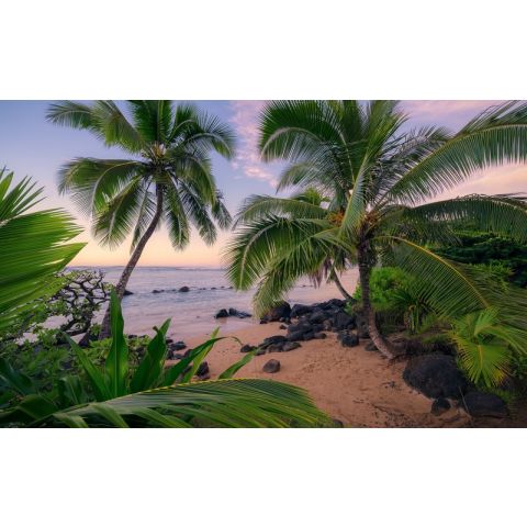 Komar Wanderlust - Hawaiian Dreams SHX9-116