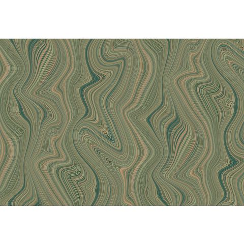 HOOKEDONWALLS SILHOUETTE ORGANIC LINES 34854