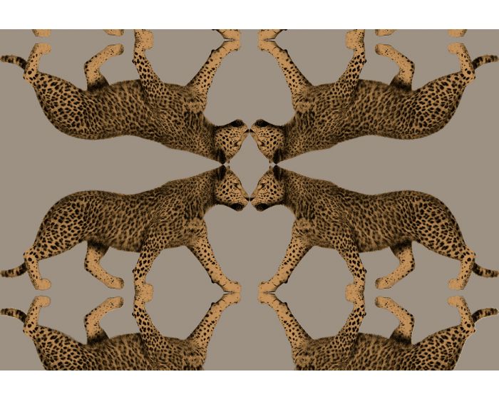 Leopard Walk Sabor 15330